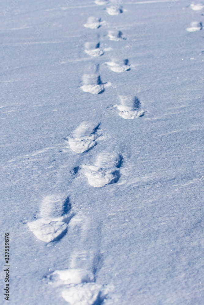 Human footprints on white snow as a background Human footprints on white snow as a background