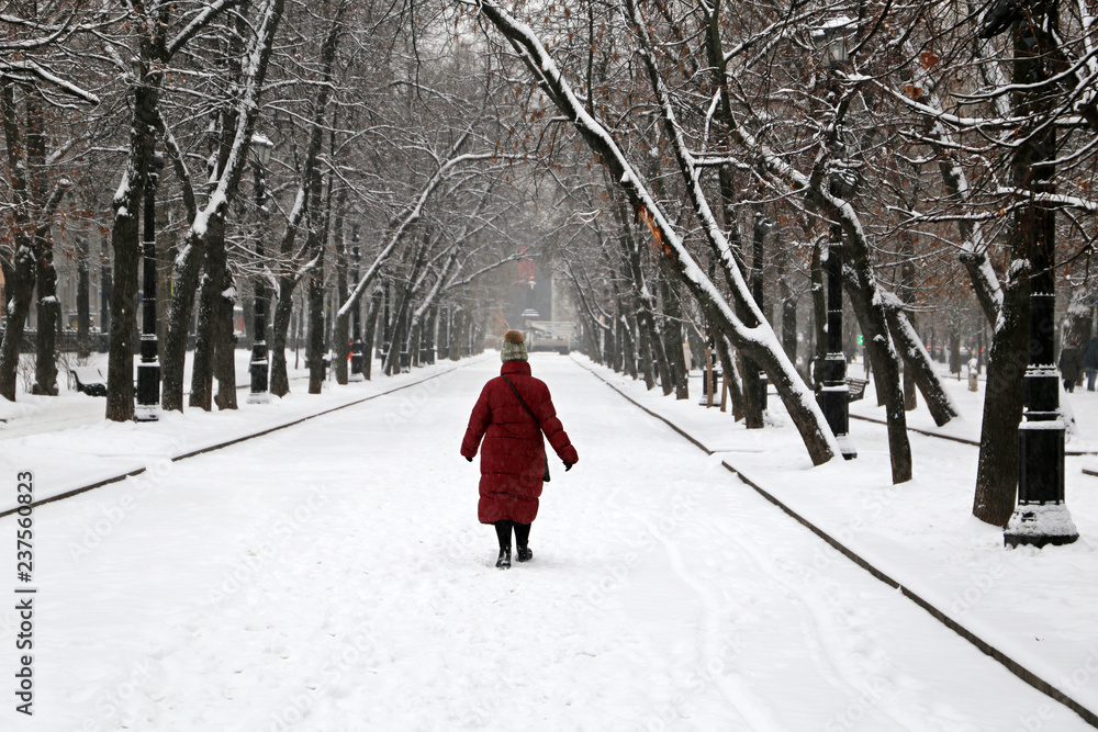 Snowfall in city park. A woman walking on a snowy walkway in winter, trees are covered with snow, cold weather concept Snowfall in city park. A woman walking on a snowy walkway in winter, trees are covered with snow, cold weather concept