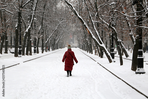 Snowfall in city park. A woman walking on a snowy walkway in winter, trees are covered with snow, cold weather concept © Oleg