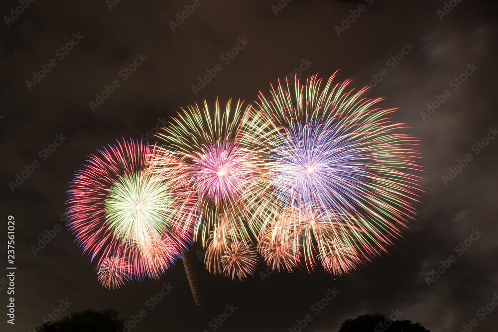 埼玉県鴻巣市 こうのす花火大会17 第16回こうのす花火大会 Stock 写真 Adobe Stock