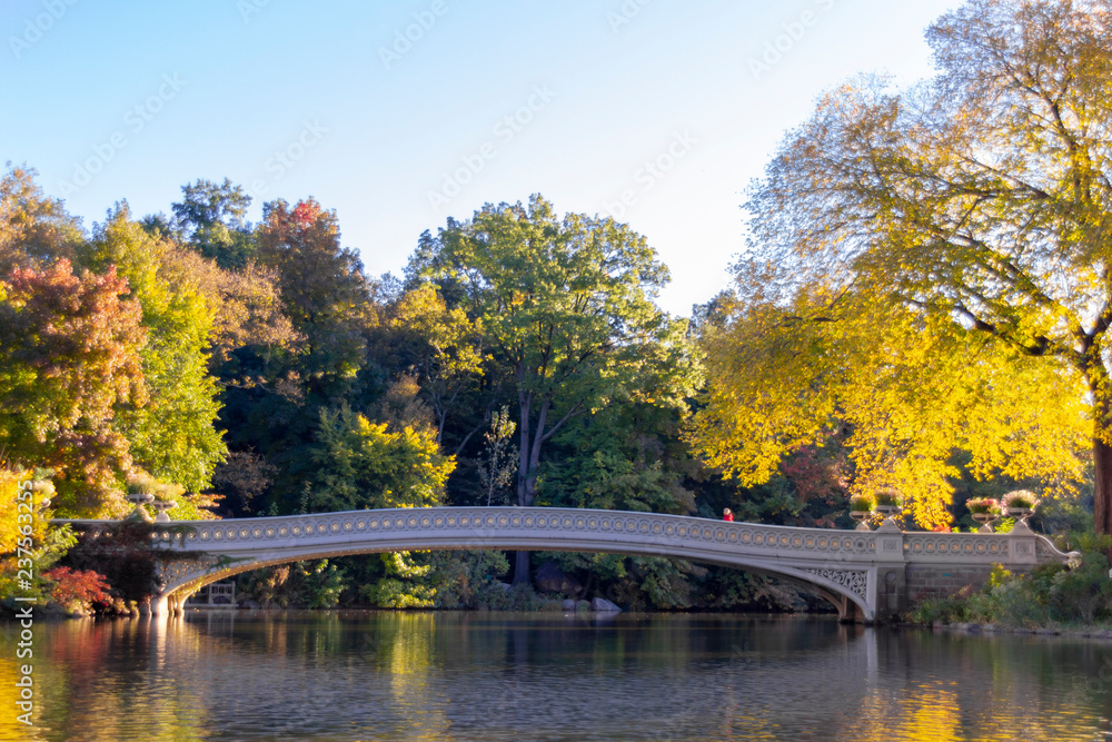 Woman at Central Park`s Bow bridge, New York, USA Woman at Central Park`s Bow bridge, New York, USA