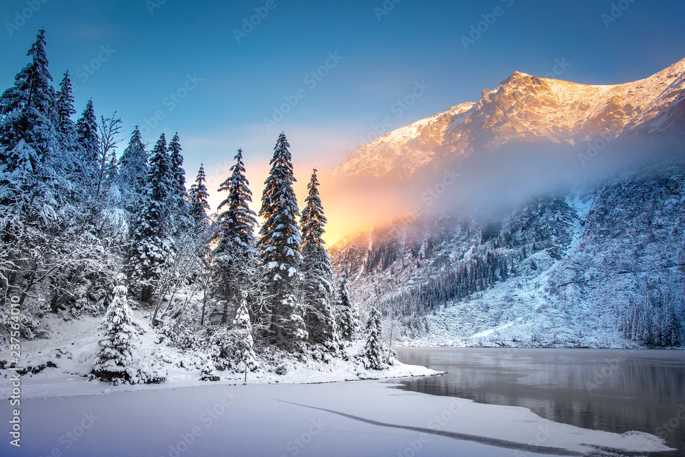 Winter mountain landscape at sunrise - obrazy, fototapety, plakaty 