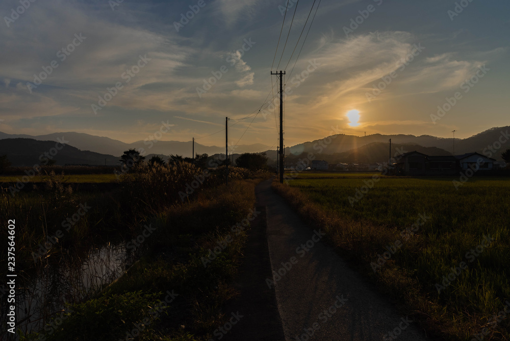 田舎道 田舎道