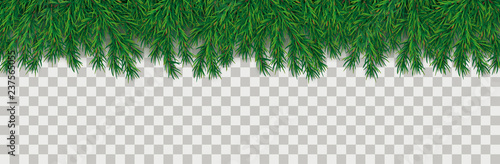 Christmas Green Branches Transparent