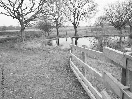 A quiet pond in Norfolk in black and white