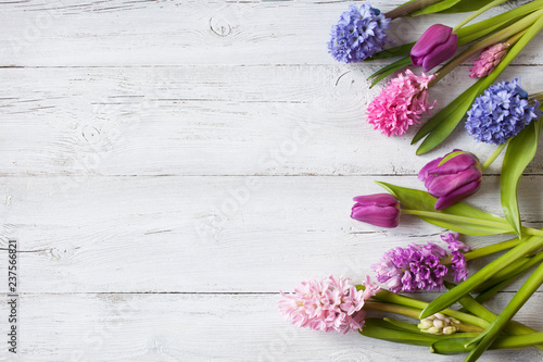 Flowers hyacinths and tulips on wooden white background