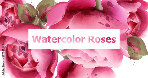 Pink roses watercolor background Vector. Invitation card, wedding ceremony, d...