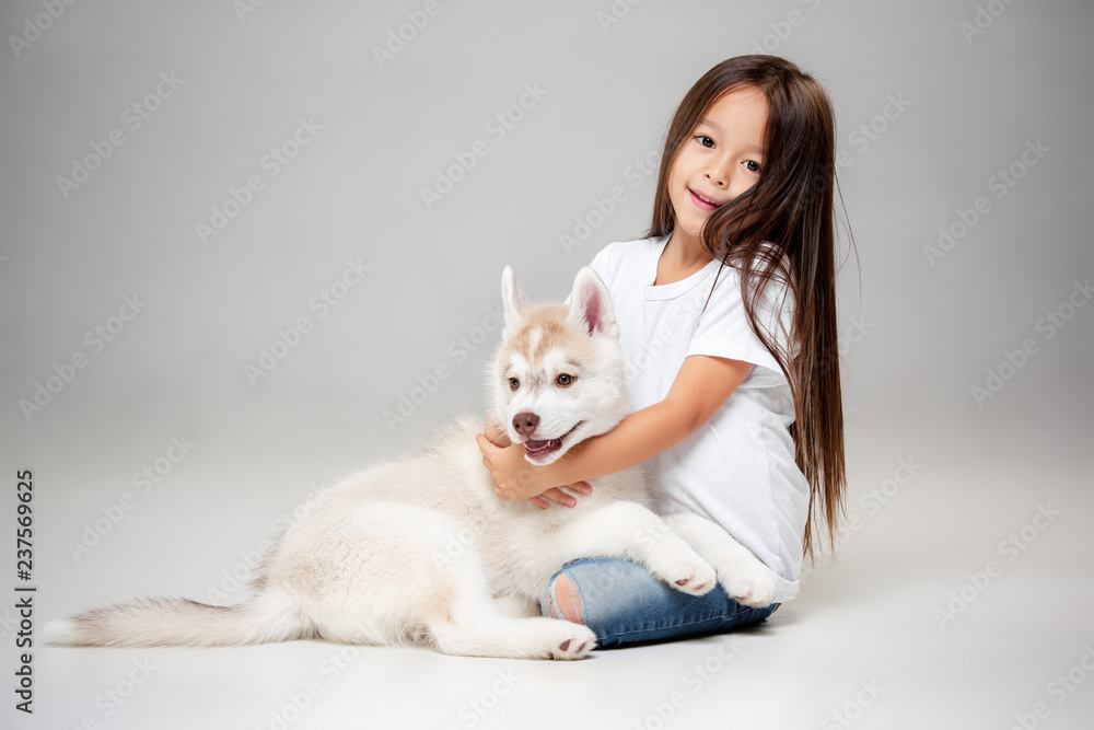 Portrait of a joyful little girl having fun with siberian husky puppy on the floor at studio. The animal, friendship, love, pet, childhood, happiness, dog, lifestyle concept