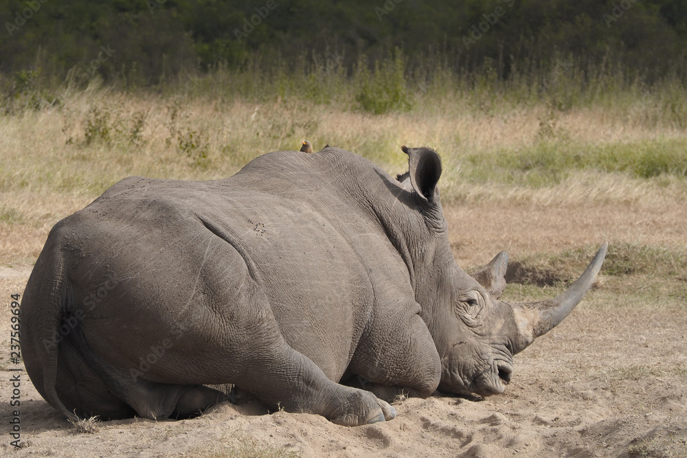 Obraz premium OLYMPUS DIGITAL CAMERA