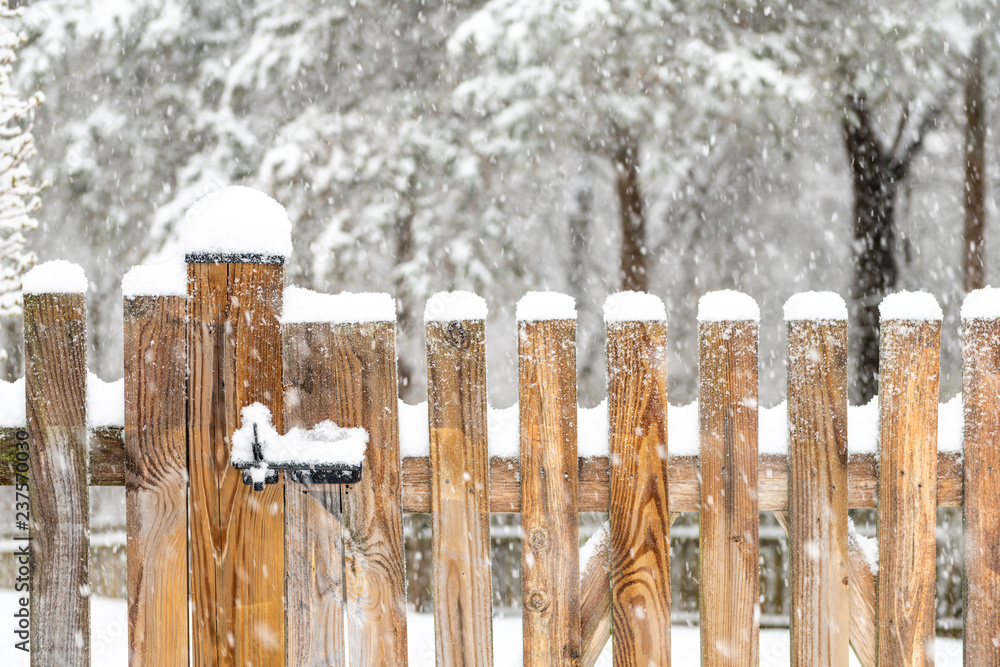 Closeup of wooden fence gate with lock, locked latch covered in white snow at heavy snowing snowstorm, storm, falling snowflakes by house, home with forest in background Closeup of wooden fence gate with lock, locked latch covered in white snow at heavy snowing snowstorm, storm, falling snowflakes by house, home with forest in background
