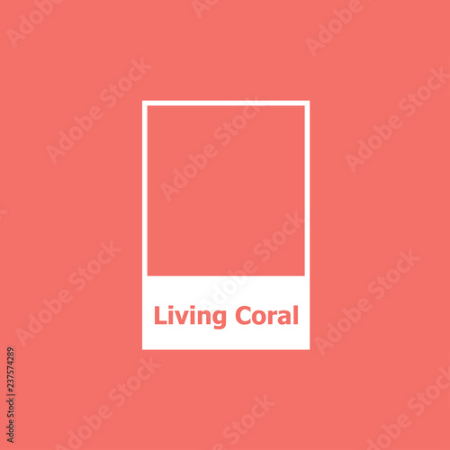 Color coral store