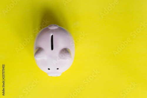 Piggy bank on the colorful background.