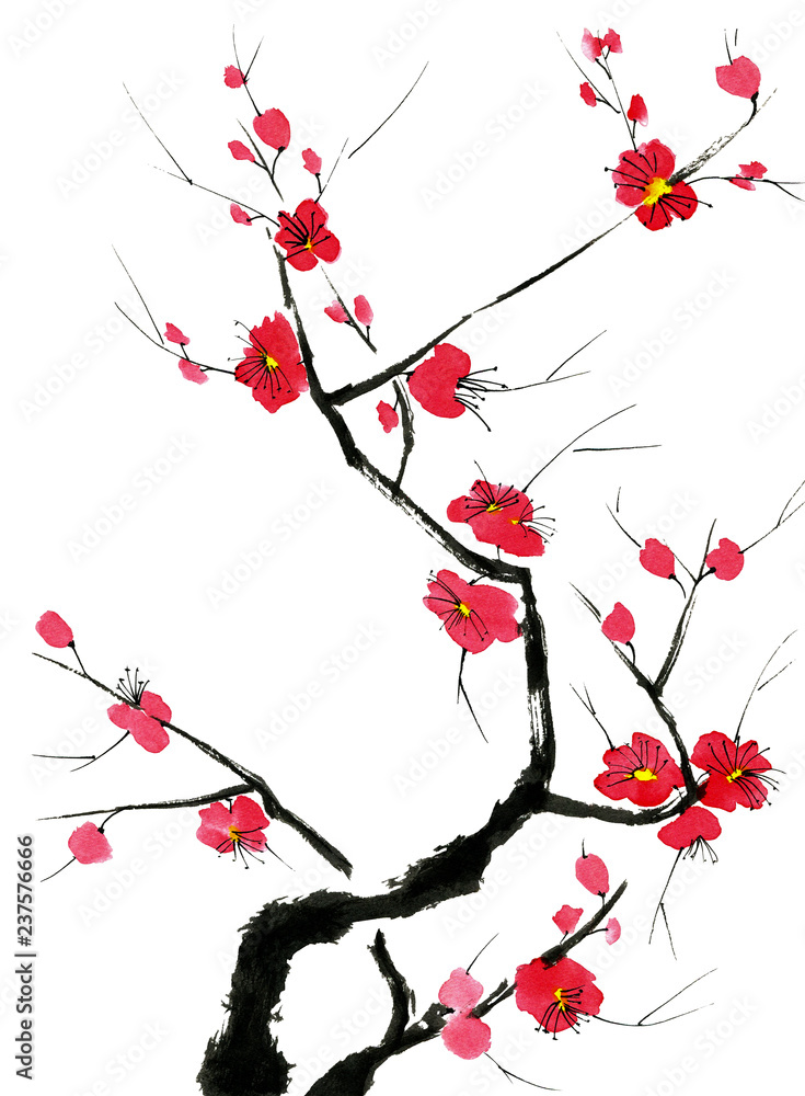 Fototapeta Oddział kwitnących drzew. Różowe i czerwone stylizowane kwiaty śliwkowego mei, dzikie morele i sakura. Ilustracja akwarela i atrament w stylu sumi-e, u-sin. Orientalne tradycyjne malarstwo.