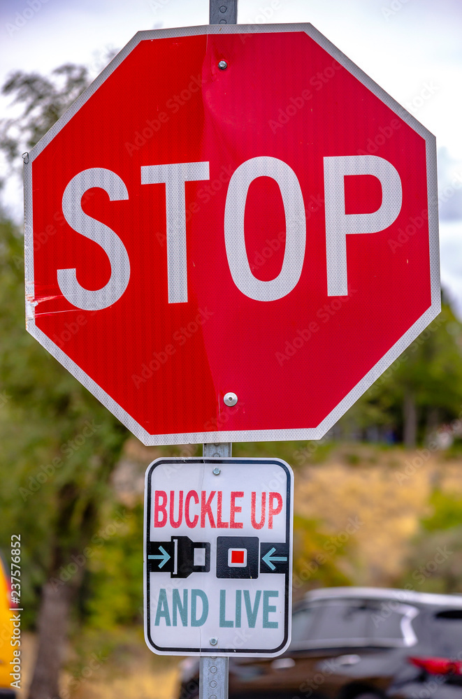 Stop sign above Buckle Up And Live road sign