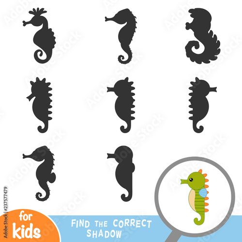 Find the correct shadow, game for children, Sea horse