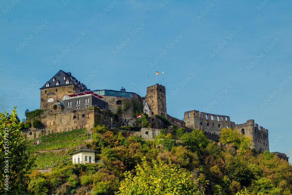 Burg Rheinfels an einem schönen Sommertag