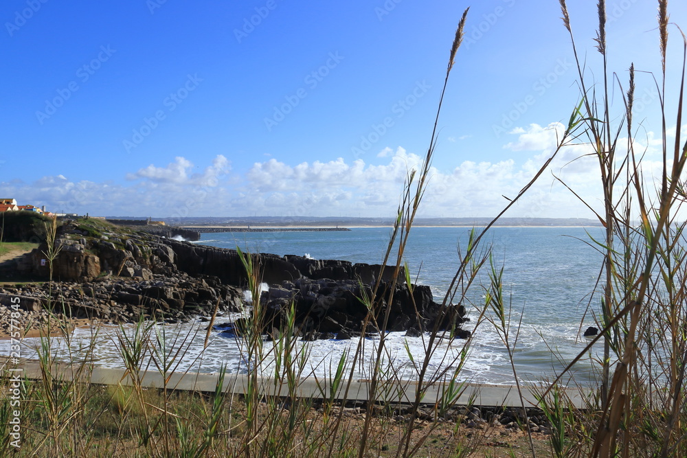 Fototapeta premium landscape with sea in the background and plants in the foreground