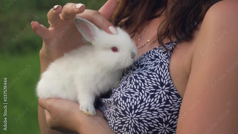 Close Up Woman Holding A Little Cub Rabbit In Her Arms And Stroking Him On Head Close Up Woman Holding A Little Cub Rabbit In Her Arms And Stroking Him On Head