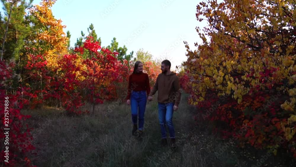 Young adorable romantic couple in love holding hands walking along colorful red leaf autumn trees fall forest in slowmo Young adorable romantic couple in love holding hands walking along colorful red leaf autumn trees fall forest in slowmo