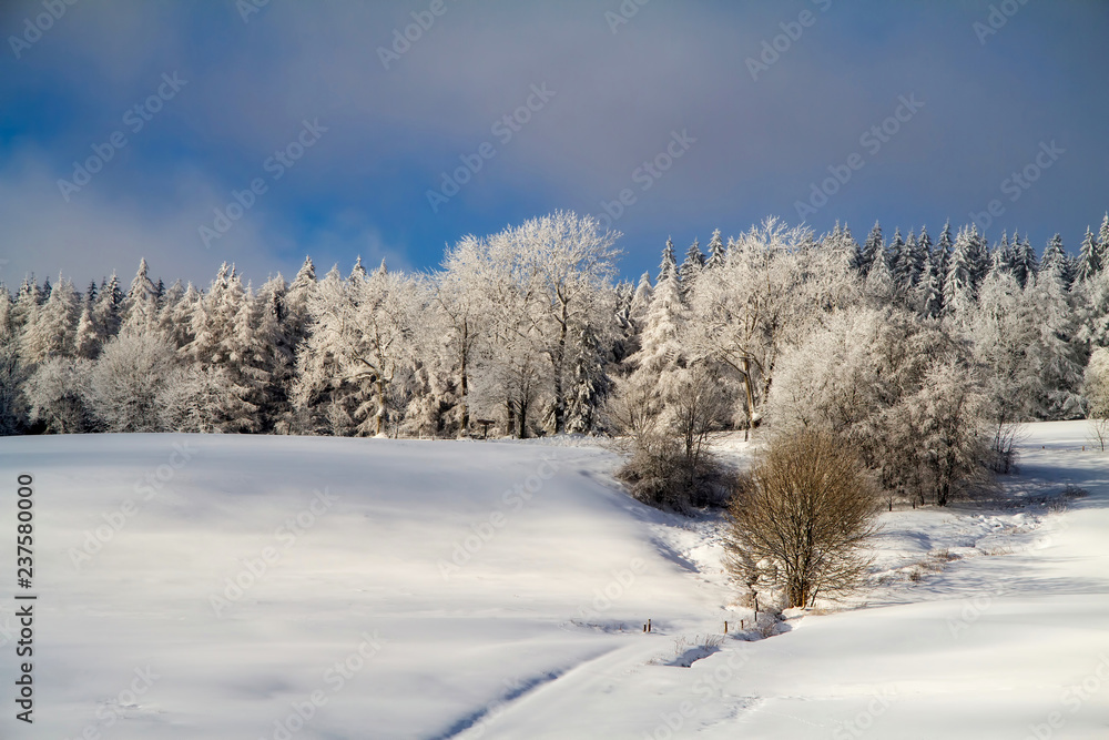 Winter nature view with snowy winter forest Winter nature view with snowy winter forest