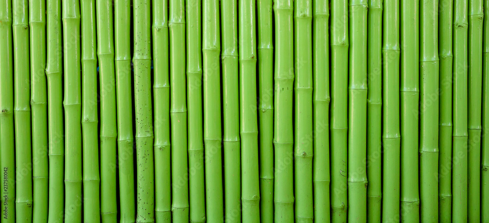 Naklejka Bambusowa ściana