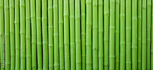 Fototapeta Naklejka Na Ścianę i Meble -  Bamboo wall