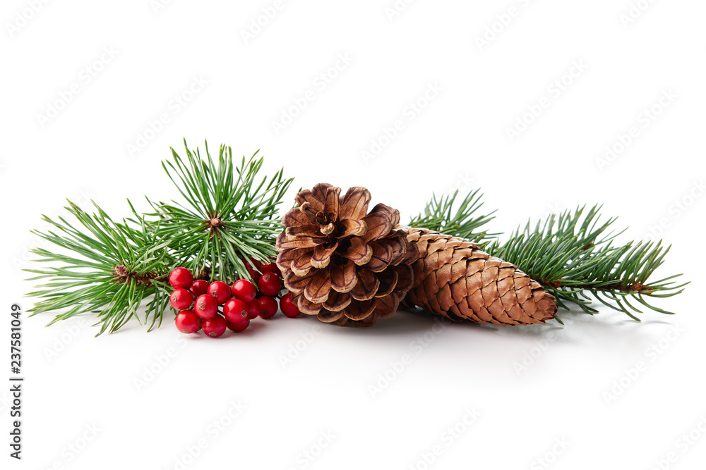 Christmas decoration of holly berry and pine cone - obrazy, fototapety, plakaty 
