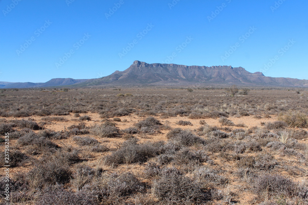 Arid drought stricken landscape with flat mountain in the far distance in the central Karoo.