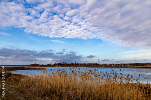 Elbe bei Niedrigwasser in D  mitz mit Schilf im Winter