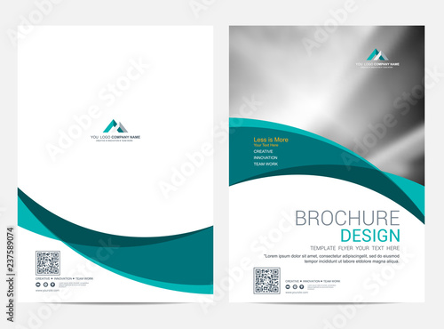 Brochure template flyer design vector background