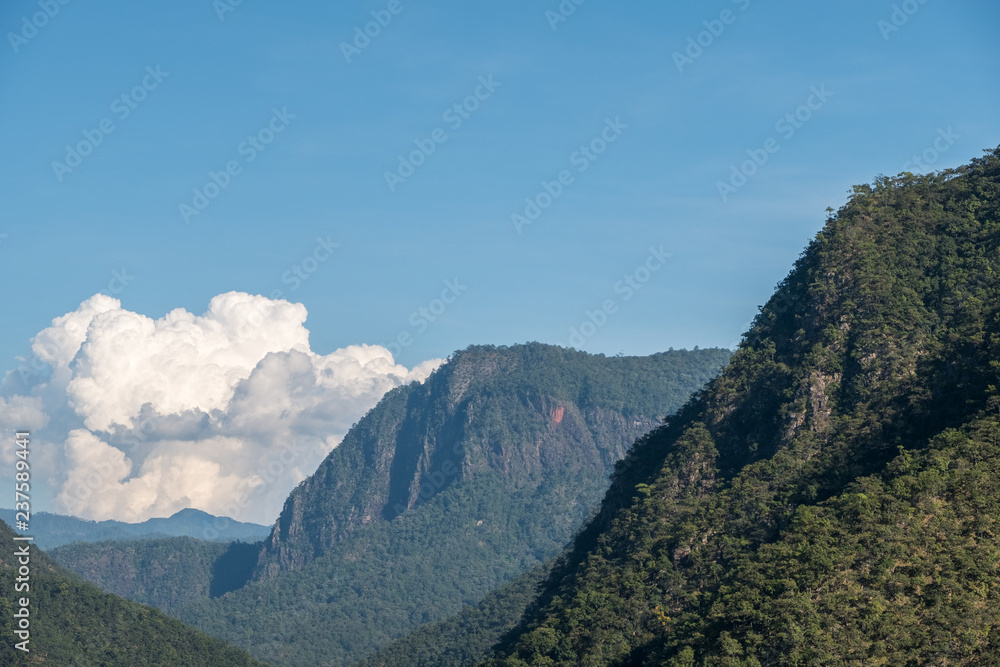 Large mountain with the rainforest.