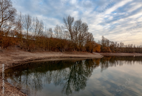 landscape with lake and tree