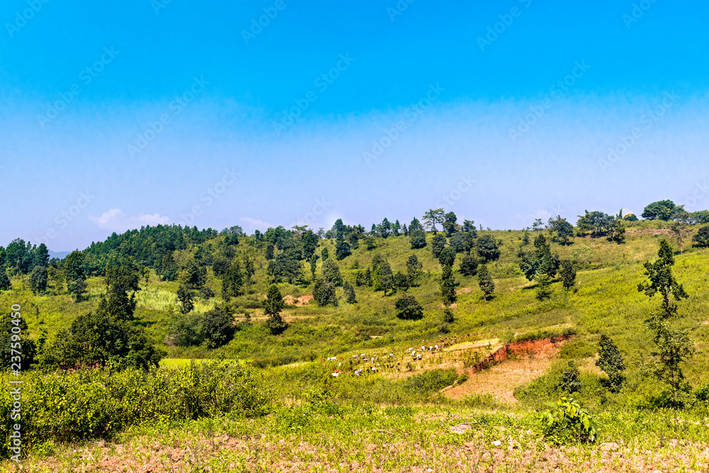 Obraz premium Picture Perfect Jharkhand, raisindri pahar