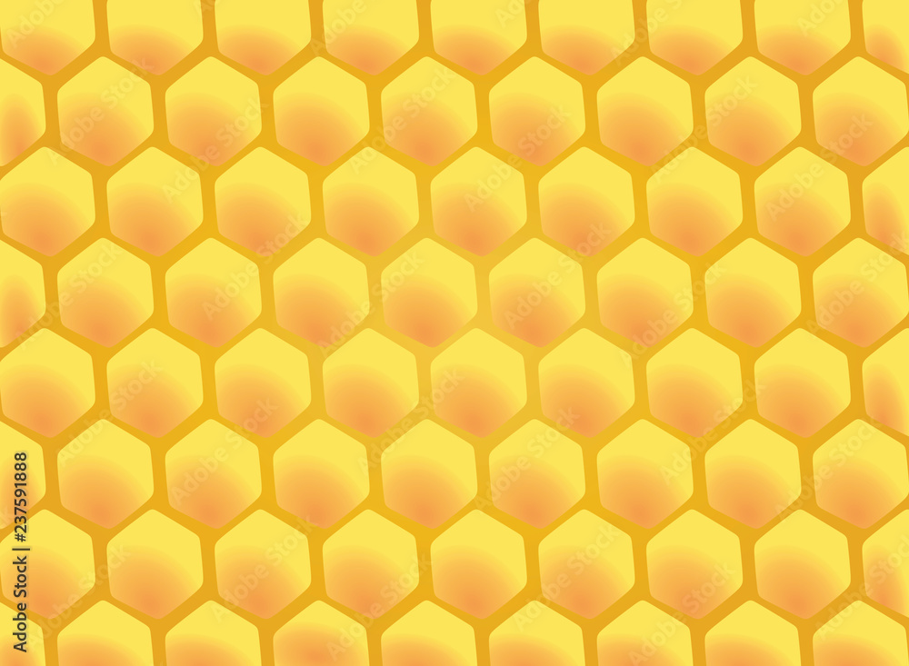 Honeycomb. vector illustration