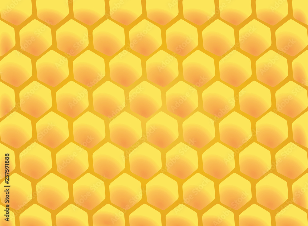 Honeycomb. vector illustration Honeycomb. vector illustration