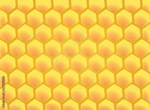 Honeycomb. vector illustration
