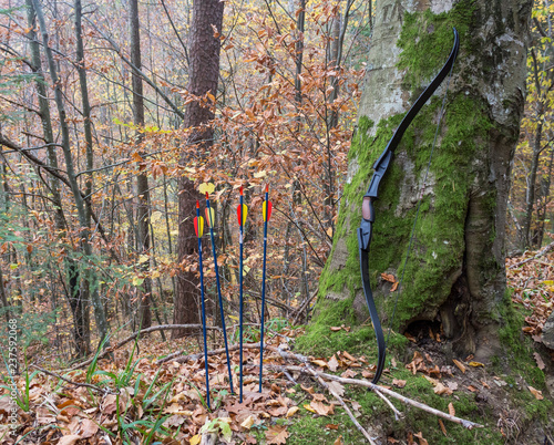 Recurve Bow on a Tree