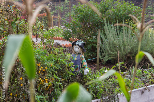Small Doll Scarecrow