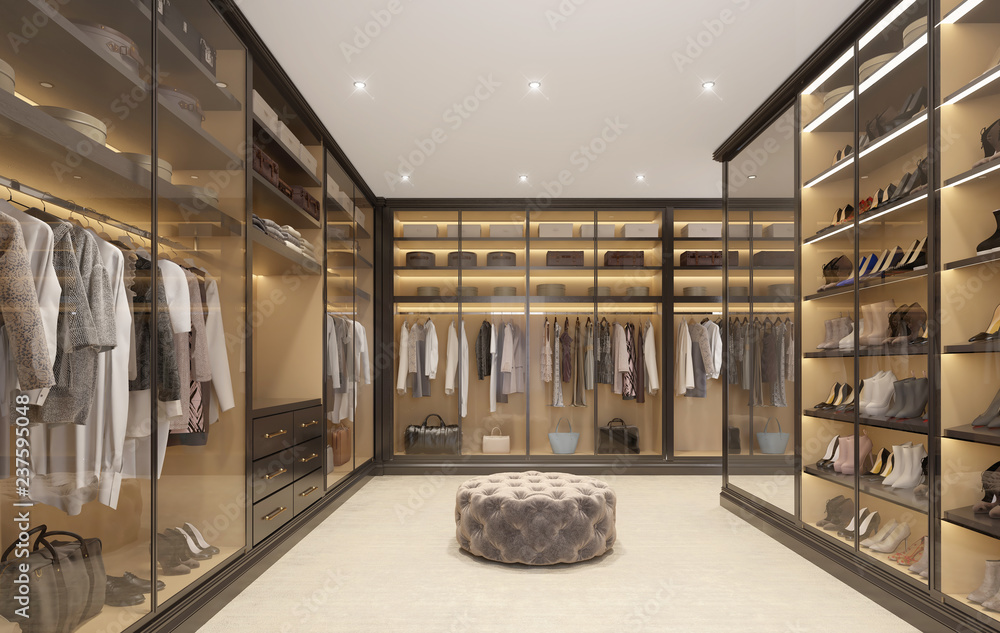 Luxury modern dressing room Stock Illustration | Adobe Stock