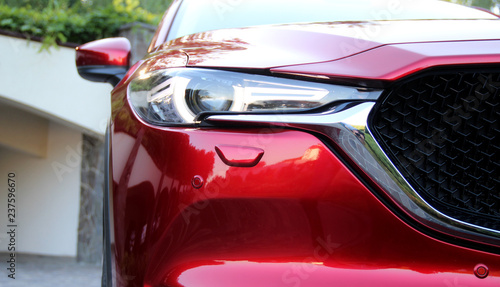 Led lights and grill of modern red vehicle behind the green plant