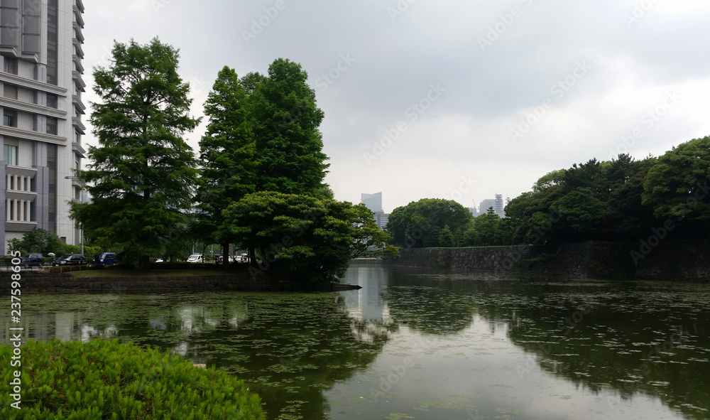 Reflections of a Japanese Garden on a Cloudy Day