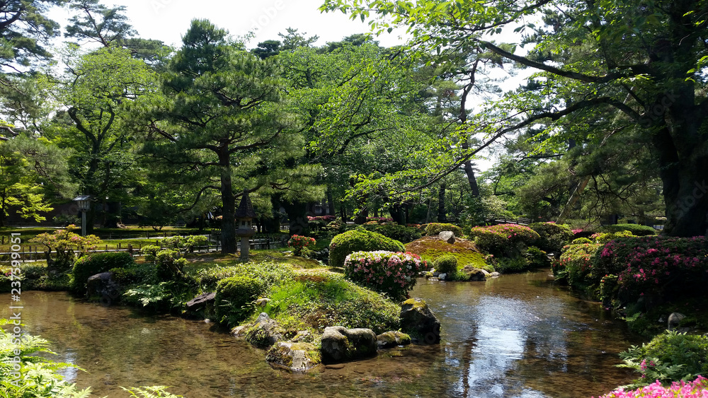 Fototapeta premium Japanese Garden Brooke