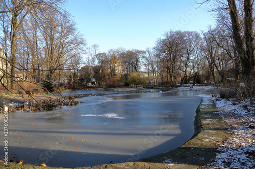 On the territory of the Kaliningrad city zoo. One of the largest and oldest zoos in modern Russia. Founded in 1896 photo