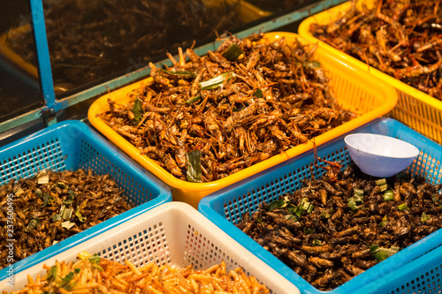 Fried insects . Night market in Bangkok. Thailand.