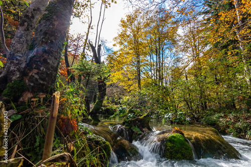 Autumn Landscape in Croatia