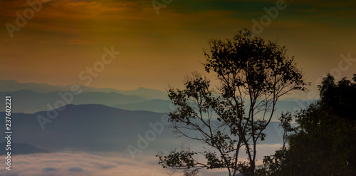 mist Si Nan National Park doi samer dao thailand © NONTANUN