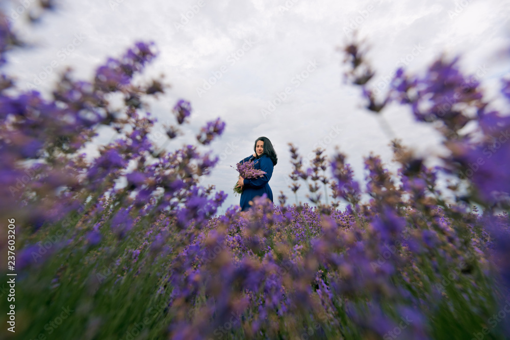 Young girl in blue dress, posing in a lavender field. Young girl in blue dress, posing in a lavender field.
