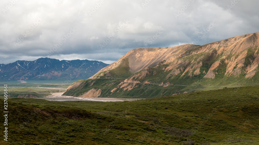 Fototapeta premium Landscape view of Denali National Park in Alaska.