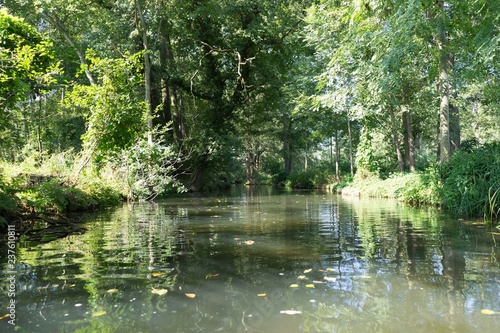 Spreewald 3