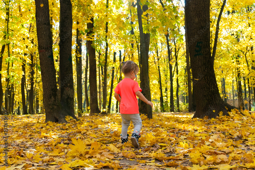 Little cute girl walking in autumn park